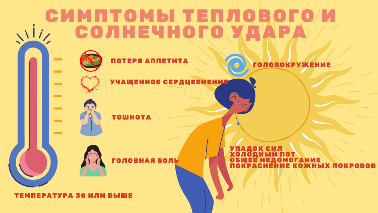 Тепловой и солнечный удар. Профилактика. Первая помощь - РКОБ им. проф.  Е.В. Адамюка